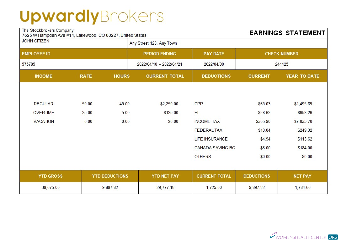 Download stockbrokers company payslip template in Word and PDF formats Photoshop template